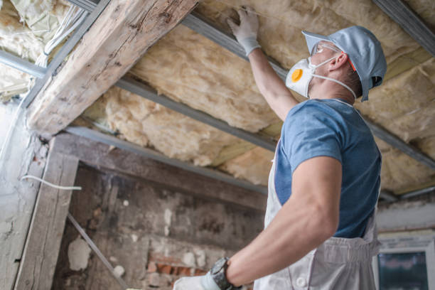 Best Specialty Insulation in Neffs, OH