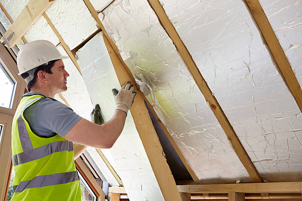 Best Insulation Maintenance and Repair in Neffs, OH