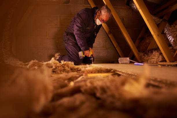 Best Types of Insulation in Neffs, OH